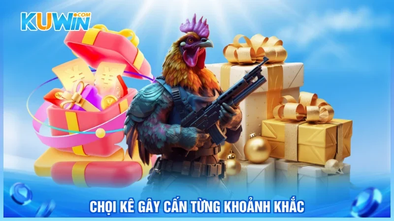 Chọi kê gây cấn từng khoảnh khắc Chọi kê gây cấn từng khoảnh khắc